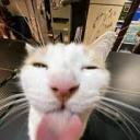 spillyourgutz avatar