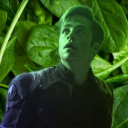 spinach-pine avatar