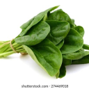spinach22 avatar
