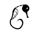 spindleseahorsedraw avatar