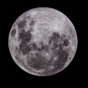 spine-tinglers avatar