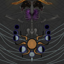 spinneret-spiderqueen avatar