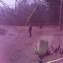 spinning--lights avatar