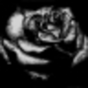 spinning-stars-to-pass-the--blog avatar