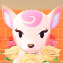 spinninggiraffes avatar