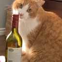 spinninginovals avatar