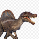 spinyspinosaurus avatar