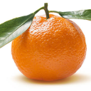 spiralchickens avatar