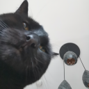 spiraling-solarsystem-of-sadness avatar