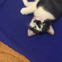 spiralingupwardharmony avatar