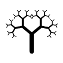 spiralling-spires avatar