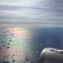 spirallingmillenial avatar