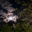 spirit-me-away-from-here avatar