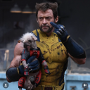 spiritedawayagain avatar