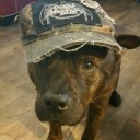 spirithalloqveen avatar