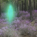 spiritinthetrees avatar
