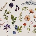 spiritkicking avatar