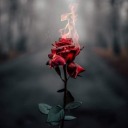 spiritrixthespirit avatar