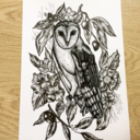 spiritserenity avatar