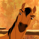 spiritstallion avatar