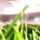 spiritthatdenies avatar