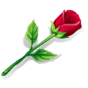 spiritualashell avatar