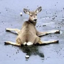 spiritualcuriosities avatar