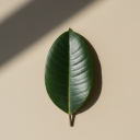 spiritualdiversitymagic avatar