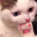 spiritualkris avatar