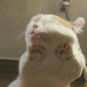 spirituallytwerking avatar