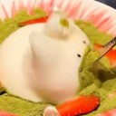 spiritumantophila avatar