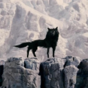 spitedrowning avatar