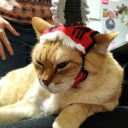 spitsinthefaceofgod avatar