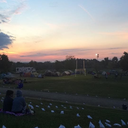 splashofculture avatar