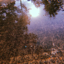 splashofthesun avatar