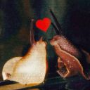 spleencentral avatar