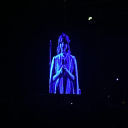 splendidbug avatar