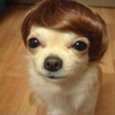 splendidthing avatar