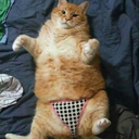 sploosh-danger-zone avatar