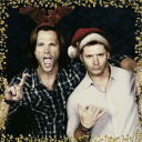 spn-j2-holiday-exchange avatar