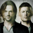 spnupdates avatar