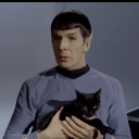 spockwithacat avatar