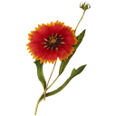 spoilers-sweetie avatar