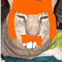 spokelsekrake avatar