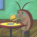 spongebobcockroach avatar