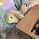 spongegarbage avatar