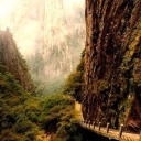 sponsormusings avatar