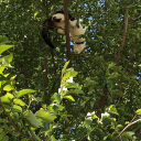 spontaneouslouis avatar