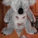 spookedskeleton avatar