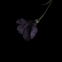 spooks-allegedly avatar